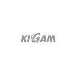 KIGAM