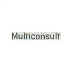 multiconsult