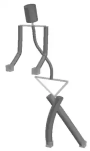 MODELS OF A HUMAN BODY WITH SCOLIOSIS